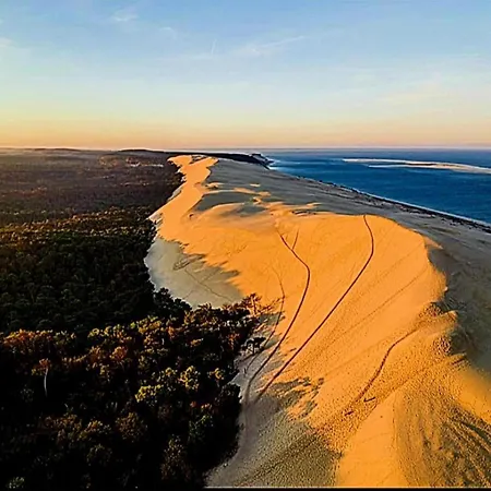 Lush In A Nature Reserve With A Castle * Salles (Gironde)